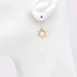 Holly Yashi Star Of David Earrings