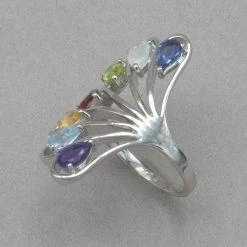 Sanchi And Filia Rings Multi Stone Silver Ring