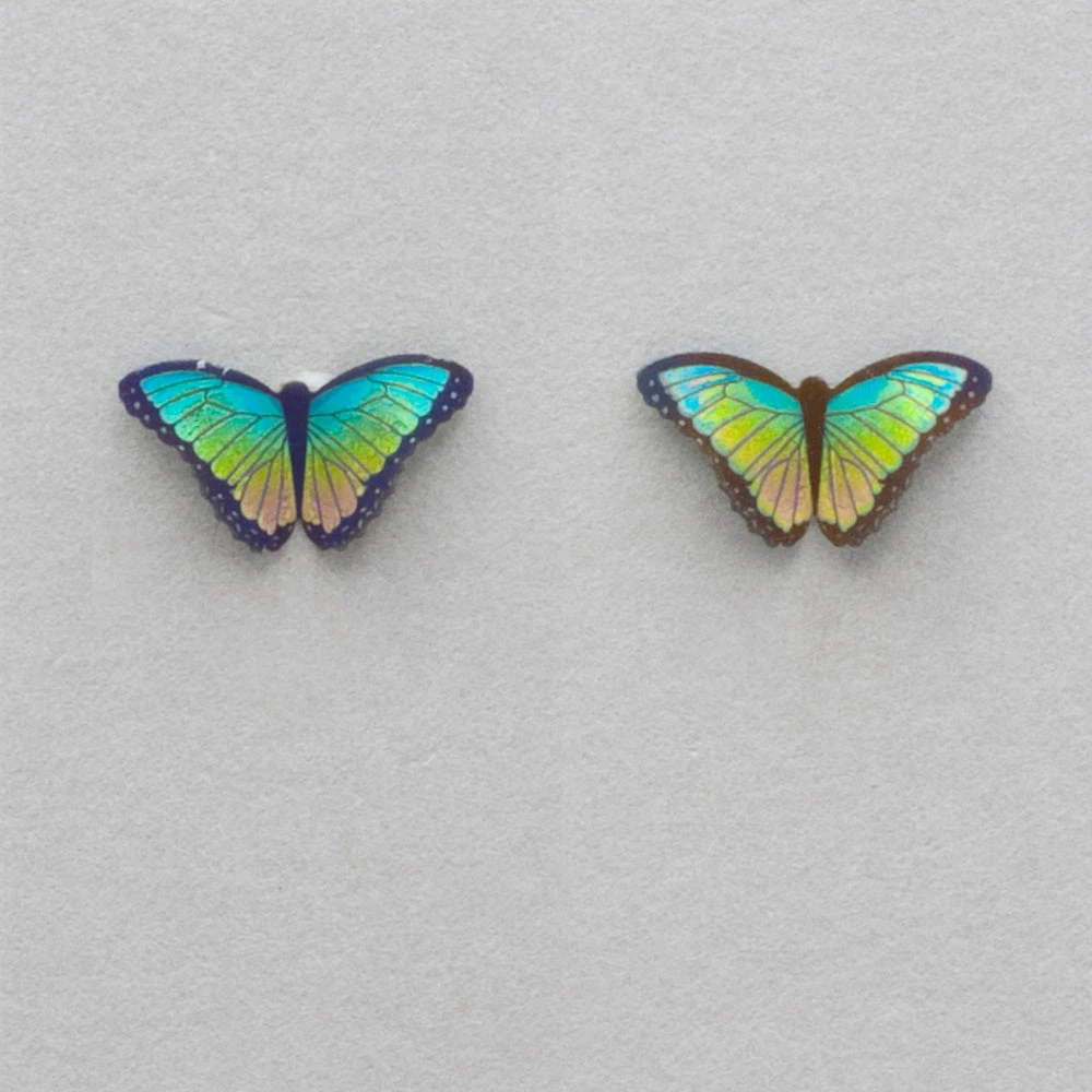 Top 10 π― Holly Yashi Petite Bella Butterfly Post Earrings π₯° 9 Holly Yashi Petite Bella Butterfly Post Earrings